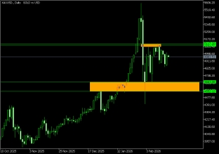 gold-19-2-2026-2026-02-19