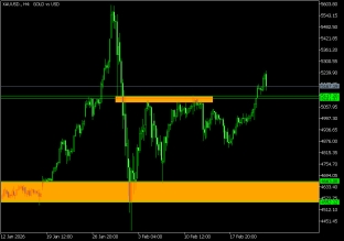 Gold 24.2.2026
