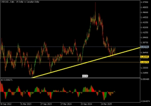 usdcad-29-7-2025-2025-07-29