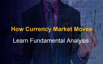 How Currency Market Moves - Learn Fundamental Analysis